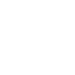 Icona bianca pubblica amministrazione